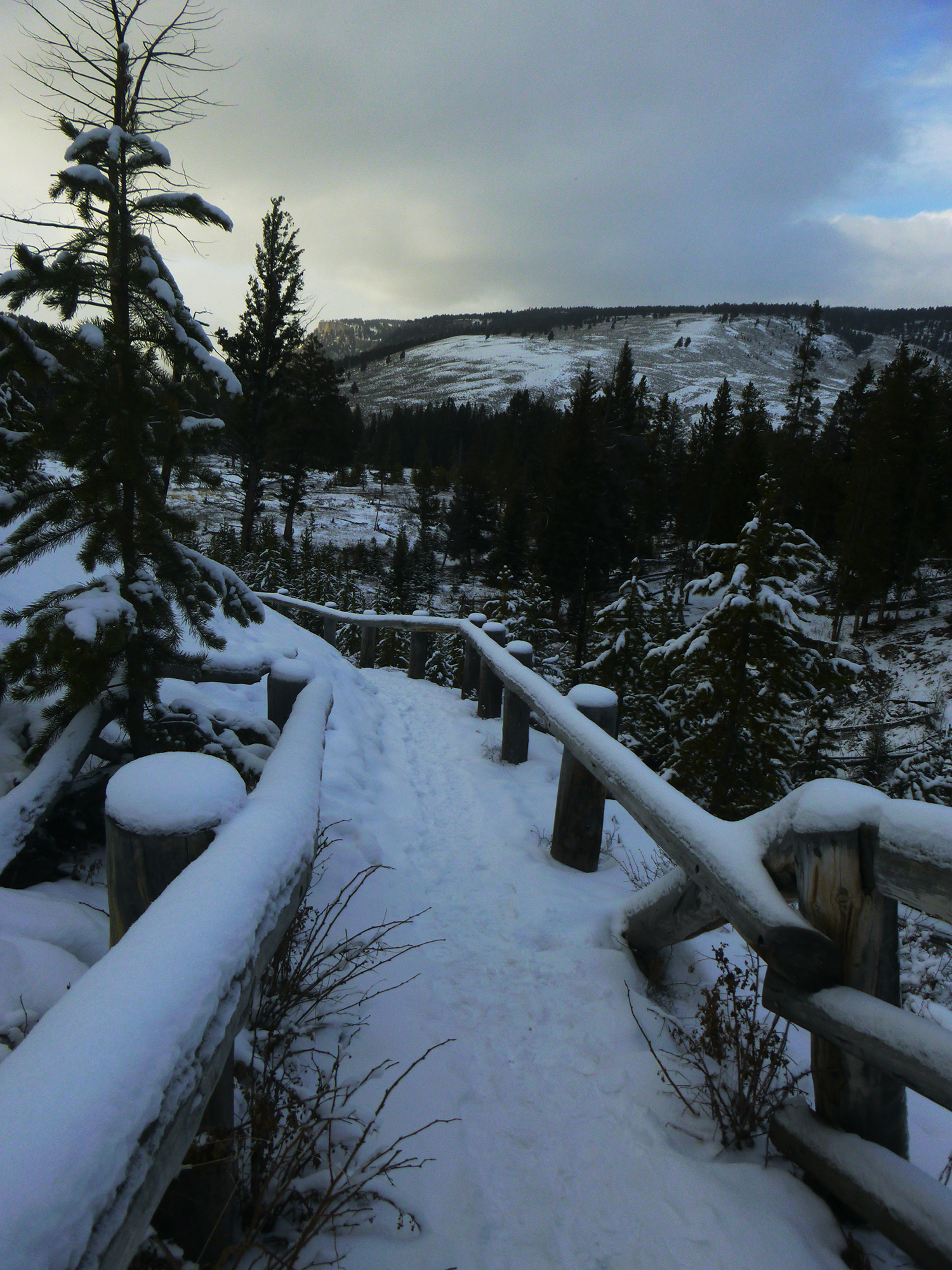 Wraith Falls Stairs in Yellowstone